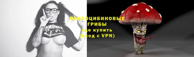 ГАЛЛЮЦИНОГЕННЫЕ ГРИБЫ Алексин