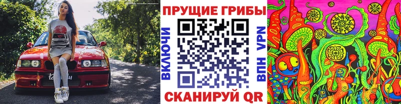 Галлюциногенные грибы Cubensis площадка наркотические препараты Ступино